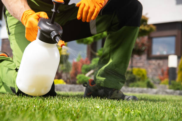 Best Bird Control  in Delft Colony, CA