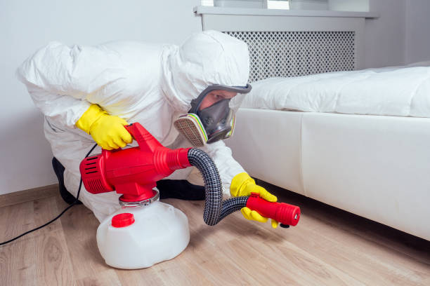 Best Exterminator Services  in Delft Colony, CA