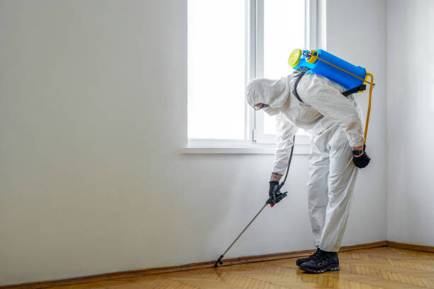 Best Pest Control Treatment  in Delft Colony, CA