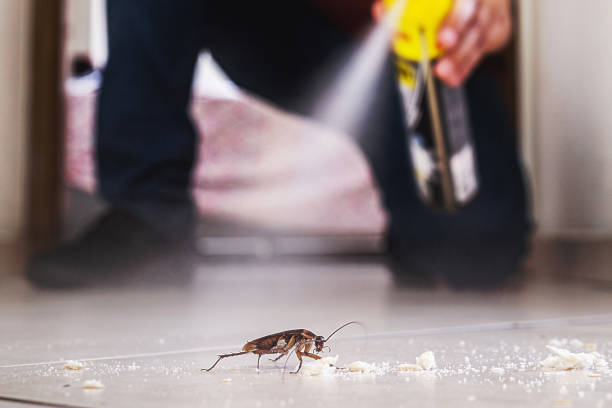 Best Residential Pest Control  in Delft Colony, CA