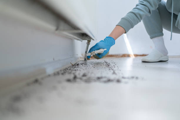 Best Pest Control for Restaurants  in Delft Colony, CA