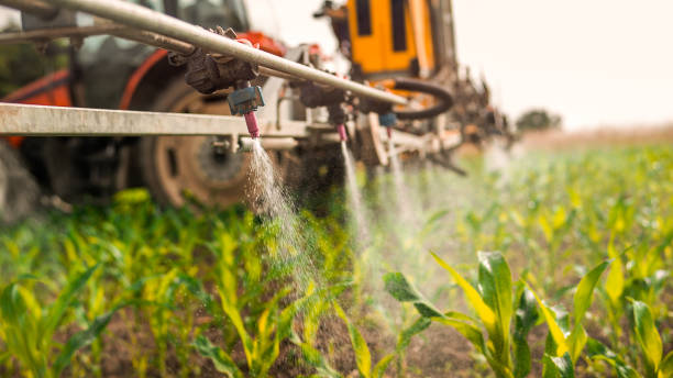 Best Wildlife Control Services  in Delft Colony, CA